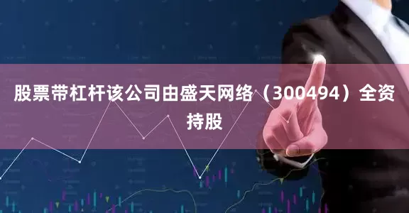 股票带杠杆该公司由盛天网络（300494）全资持股
