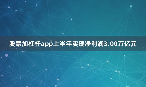 股票加杠杆app上半年实现净利润3.00万亿元