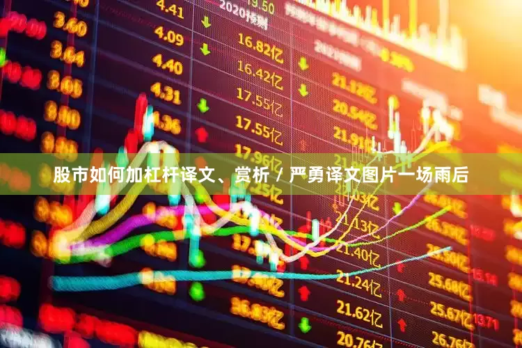 股市如何加杠杆译文、赏析 / 严勇译文图片一场雨后