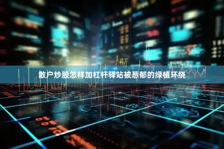 散户炒股怎样加杠杆驿站被葱郁的绿植环绕